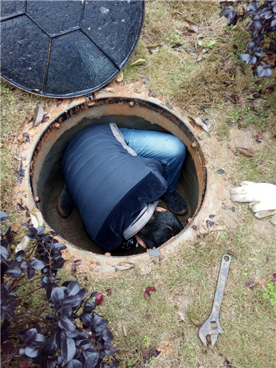 02_副本.jpg 02_副本.jpg